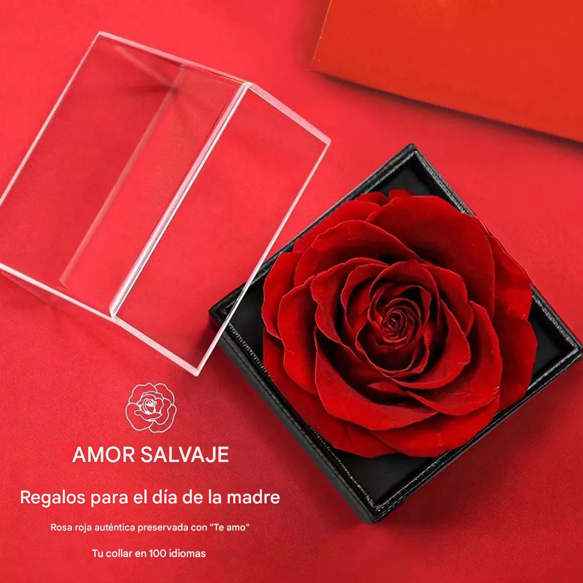 Rosa Eterna Y Collar De Corazón, Regalo De San Valentín